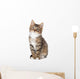 Cute Tabby Kitten Wall Decal