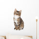Cute Tabby Kitten Wall Decal