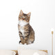Cute Tabby Kitten Wall Decal