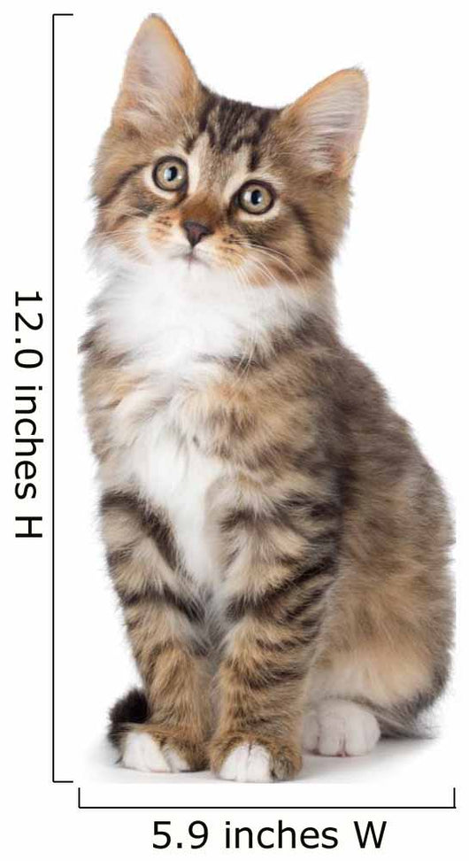 Cute Tabby Kitten Wall Decal