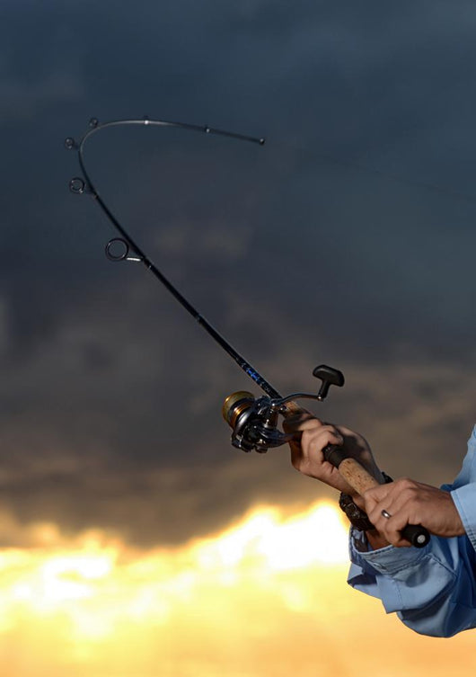 Big Catch While Fishing Wall Decal