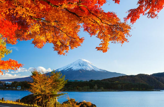 Mt Fuji Autumn Wall Decal