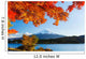 Mt Fuji Autumn Wall Decal