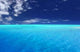Tropical Lagoon Wall Decal Design 3