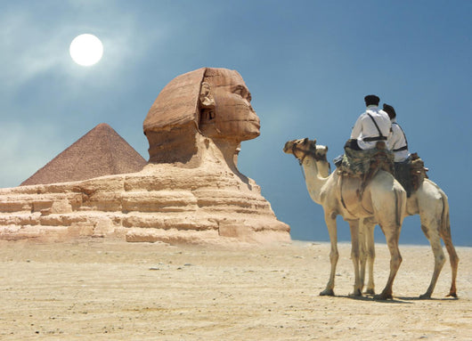 Pyramid Sphinx Camel Sand Wall Decal