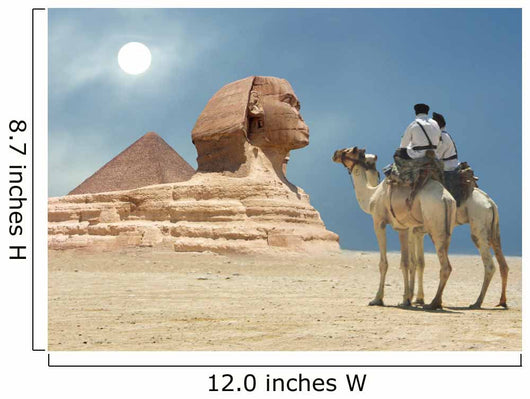 Pyramid Sphinx Camel Sand Wall Decal