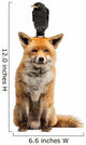 Jackdaw Perching Red Fox Wall Decal