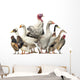 Group Ducks Geese and Wall Decal Design 2