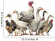Group Ducks Geese and Wall Decal Design 2