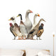 Group Ducks Geese and Wall Decal Design 1