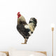 Brahma Rooster Wall Decal