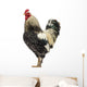 Brahma Rooster Wall Decal