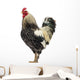 Brahma Rooster Wall Decal