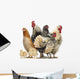 Group Hens Roosters and Wall Decal