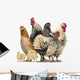 Group Hens Roosters and Wall Decal