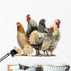 Group Hens Roosters and Wall Decal