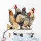 Group Hens Roosters and Wall Decal