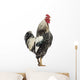 Side Brahma Rooster White Wall Decal