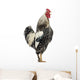 Side Brahma Rooster White Wall Decal