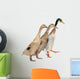 Three Ducks Race Wall Decal