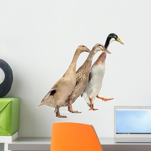 Three Ducks Race Wall Decal