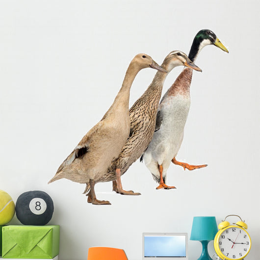 Three Ducks Race Wall Decal