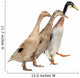 Three Ducks Race Wall Decal