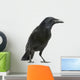 Carrion Crow White Wall Decal
