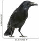 Carrion Crow White Wall Decal