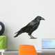 Carrion Crow Wall Decal