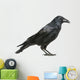 Carrion Crow Wall Decal