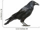 Carrion Crow Wall Decal