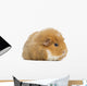 Teddy Guinea Pig Wall Decal