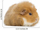 Teddy Guinea Pig Wall Decal