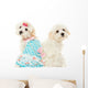 Two Sitting Maltese Dogs Wall Decal
