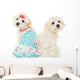 Two Sitting Maltese Dogs Wall Decal