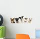 Close-up Dogs Row Wall Decal
