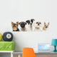 Close-up Dogs Row Wall Decal