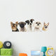 Close-up Dogs Row Wall Decal