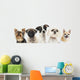 Close-up Dogs Row Wall Decal