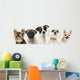 Close-up Dogs Row Wall Decal