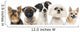 Close-up Dogs Row Wall Decal