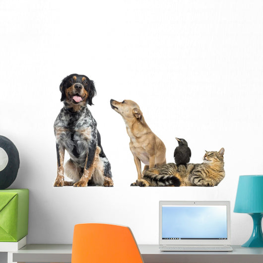 Group Pets White Wall Decal