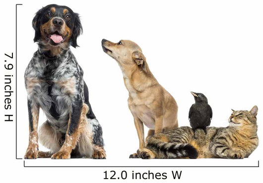 Group Pets White Wall Decal