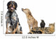 Group Pets White Wall Decal