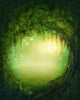 Enchanted Forest Wall Decal