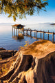 Pier Lake Wall Decal