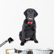 Black Lab Puppy Wall Decal Design 2