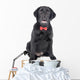 Black Lab Puppy Wall Decal Design 2