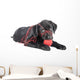 Black Lab Puppy Wall Decal Design 1